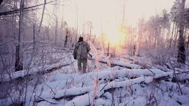 Hunters in the Woods. Armed Rangers in winter forest