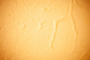 Yellow Mulberry paper background.