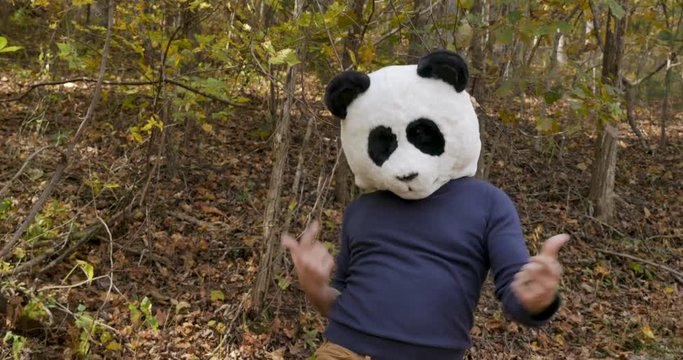 Man wearing a panda mask celebrating a victory and dancing