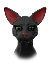 sphynx black cat