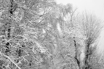 Winter Tale in Izmailovo, Moscow