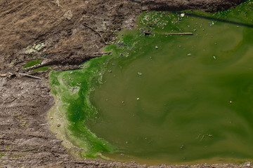 polluted water. chemical disaster. greenish dirty water on a muddy earth. environmental catastrophe.  