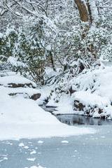 trees and rocks near the pond in the park  covered with heavy snow on a snowing cold winter morning