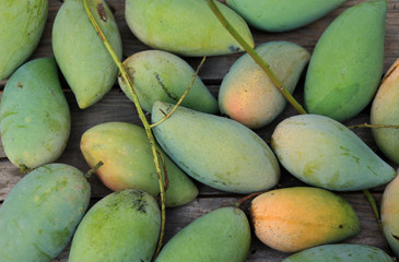 Full frame of mangoes on table