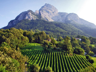 Gonzen mountain or Gonzen Berggipfel in the Appenzell Alps mountain range - Canton of St. Gallen,...