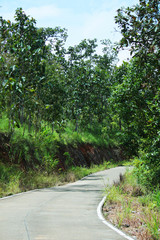 Fototapeta na wymiar Country road on the mountain in Thailand