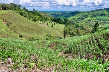 A landscape in Ecuador