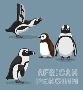 African Penguin Cartoon Vector Illustration