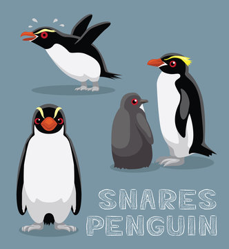 Snares Penguin Cartoon Vector Illustration