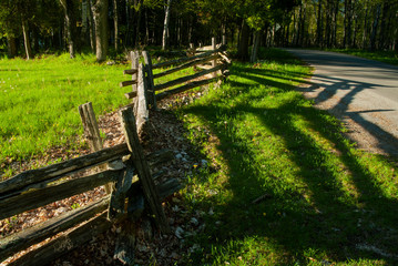 522-82 Split Rail Shadows