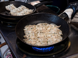 Fried Gyoza in frying pan. Making homemade Japanese dumplings in street food.