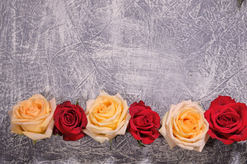 Colorful flowers on grey background.Bouquet of flowers