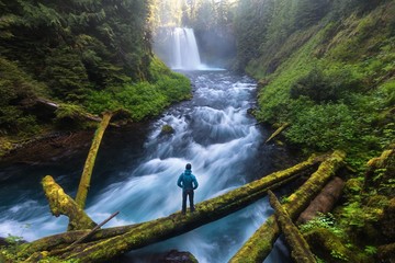 Man standing by a Koosah Falls, also known as Middle Falls, is second of the three major waterfalls of the McKenzie River, in the heart of the Willamette National Forest, in the U.S. state of Oregon. - obrazy, fototapety, plakaty
