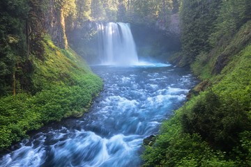 Koosah Falls, also known as Middle Falls, is second of the three major waterfalls of the McKenzie River, in the heart of the Willamette National Forest, in the U.S. state of Oregon Beautiful sunny day
