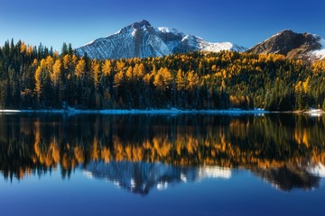Beautiful reflection on a mountain lake. Wonderful autumn colors in the alps and yellow larch trees. Amazing landscape background concept