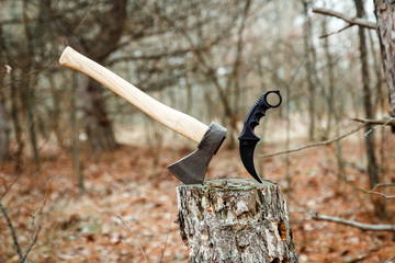 axe and karambit knife suck in the stump in the forest