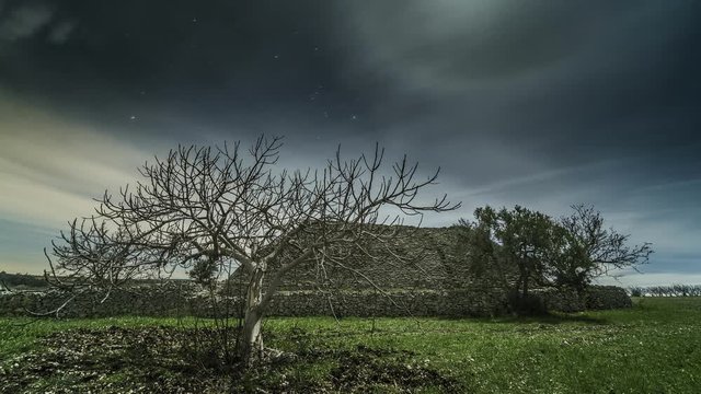 old rural house in apulia
