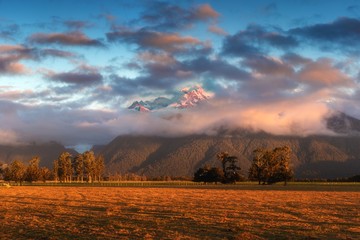 Naklejka premium Sunset on meadows under the Fox Glacier / Te Moeka o Tuawe. It is temperate maritime glacier located in Westland Tai Poutini National Park on the West Coast of New Zealand's South Island.