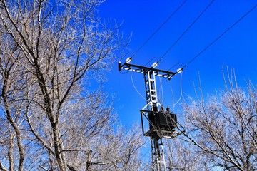 High voltage tower between dry branches