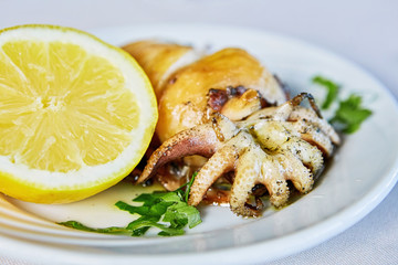 Fried squid calamari wirh lemon at restaurant on the white plate traditional greek cyprus Mediterranean food dish