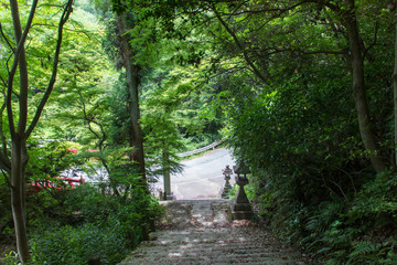 犬山寂光院の新緑／愛知県犬山市