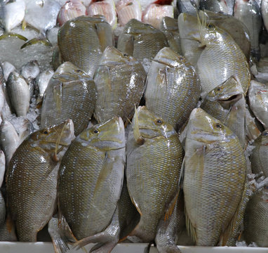 sherry fish in a market stall for sell