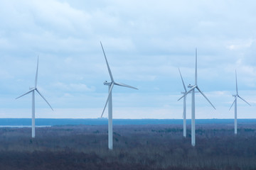 Wind farm on the Baltic sea coast