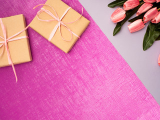 Purple tulip and gift box on Purple background