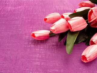 Obraz na płótnie Canvas Purple tulip and gift box on Purple background