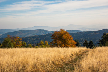 Redzinska pass in Rudawski Landscape Park on an autumn afternoon, Sudety, Poland - obrazy, fototapety, plakaty