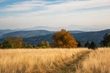 Redzinska pass in Rudawski Landscape Park on an autumn afternoon, Sudety, Poland