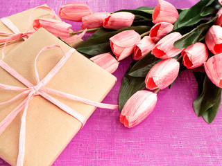 Purple tulip and gift box on Purple background