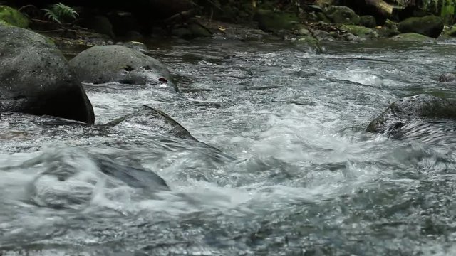 Bach abw&auml;rts
