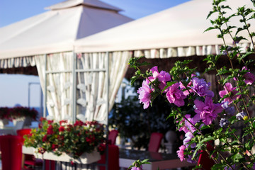 Fototapeta na wymiar Cafe with tent by the Black sea, beautiful flowers, summer, clear weather