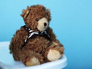 toy teddy bear on blue background