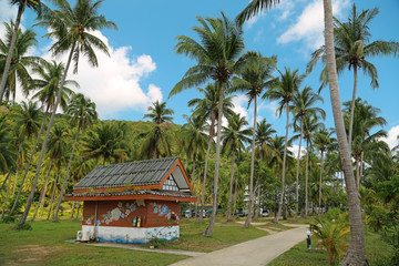 Fototapeta na wymiar Little house amongst palms on the Koh-Chang island, Thailand