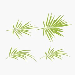 Fototapeta na wymiar set of green bamboo vector illustration