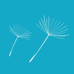 Silhouette of a dandelion with flying seeds. Black contour of a dandelion. Black and white illustration of a flower. Summer plant.