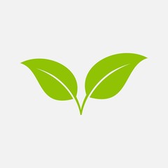 green leaf ecology nature element vector icon