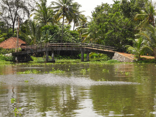 Fototapeta na wymiar Bridge at backwaters in Kerala Kochi