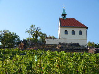 Fototapeta na wymiar Historic St. Clara Vineyard with chapel, Prague, Czech Republic