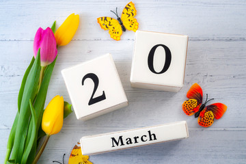 First day of Spring and springtime equinox concept theme with block calendar set on March 20, two yellow tulips and one pink tulip and butterflies isolated on a rustic white wooden background