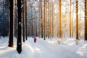 Girl is walking on a winter day in the forest