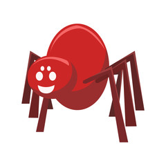 Funny spider insects