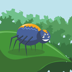 Funny spider insects