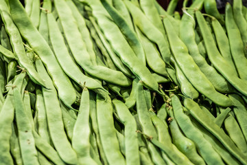 Vente d'haricots plats frais