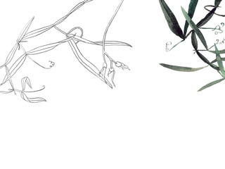 Botany postcard template