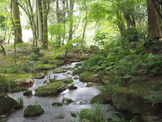 Obraz premium 新緑の成田山