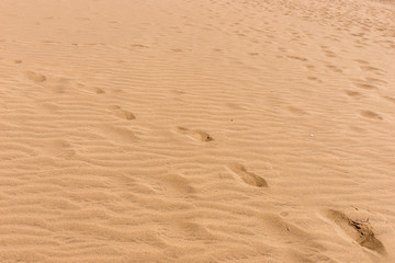 Sandy beach for background. Sand on the beach