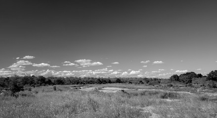 African landscape in the Kruger National Park, South Africa